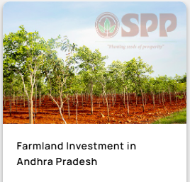 Farmland Investment in Andhra Pradesh